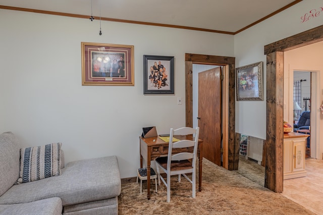 625 Trentham Hollow Rd, Parrottsville, TN 37843 - home office featuring ornamental molding