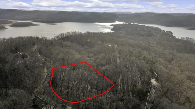 1404 Echota Ln, Mooresburg, TN 37811 - photo 9