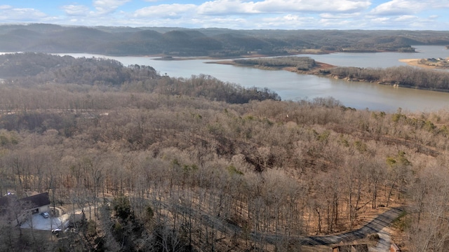 1404 Echota Ln, Mooresburg, TN 37811 - photo 3