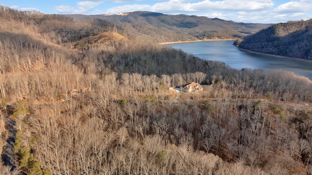1404 Echota Ln, Mooresburg, TN 37811 - photo 7