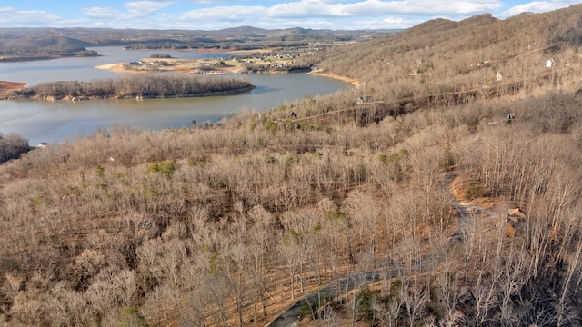 1404 Echota Ln, Mooresburg, TN 37811 - photo 1