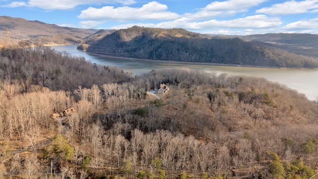 1404 Echota Ln, Mooresburg, TN 37811 - photo 6