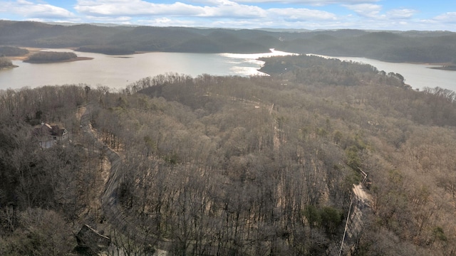 1404 Echota Ln, Mooresburg, TN 37811 - photo 4