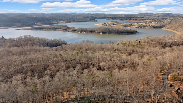 1404 Echota Ln, Mooresburg, TN 37811 - photo 2