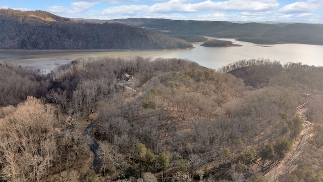 1404 Echota Ln, Mooresburg, TN 37811 - photo 5