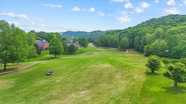 419 Colonial St, Jefferson City, TN 37760 - surrounding community featuring a lawn