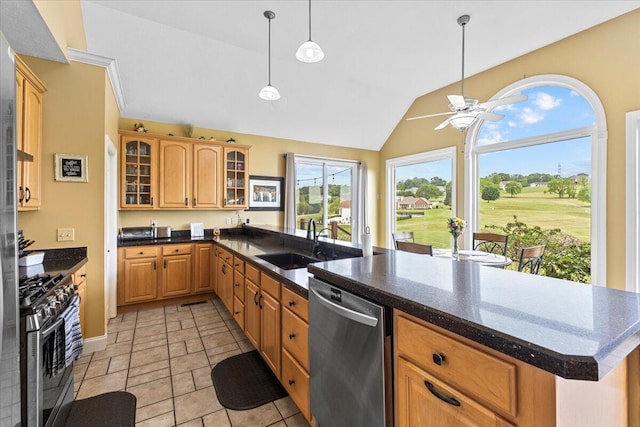 419 Colonial St, Jefferson City, TN 37760 - kitchen with appliances with stainless steel finishes, a sink, a peninsula, a ceiling fan, and glass insert cabinets