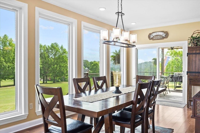 419 Colonial St, Jefferson City, TN 37760 - dining area with a chandelier, crown molding, dark wood finished floors, and recessed lighting