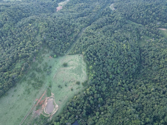 621 Carrol Greenlee Rd, Rutledge, TN 37861 - photo 15