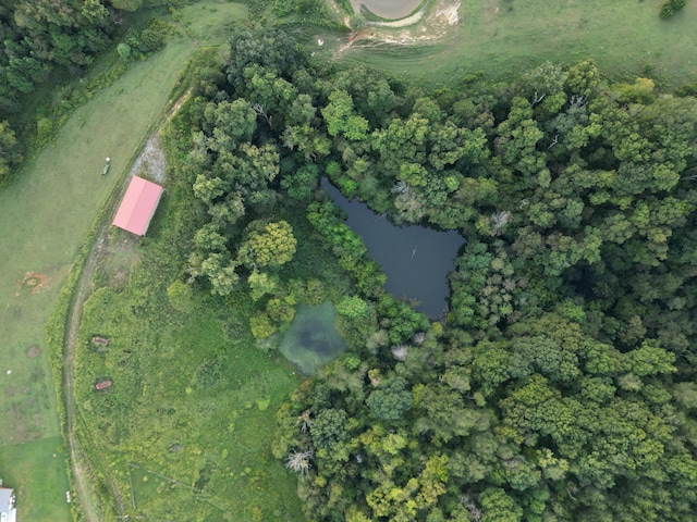 621 Carrol Greenlee Rd, Rutledge, TN 37861 - photo 6