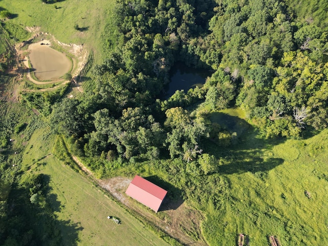 621 Carrol Greenlee Rd, Rutledge, TN 37861 - photo 11
