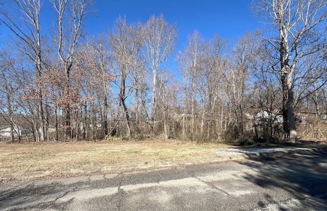 1978 Bluebird Cir, Morristown TN, 37814 land for sale