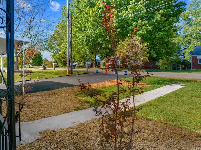 exterior space featuring a yard