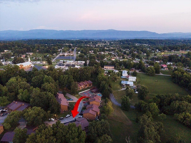 1127 Timbers E, Greeneville, TN 37745 - photo 49
