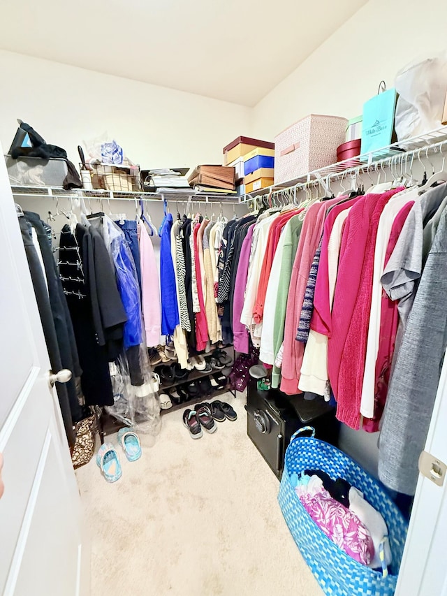 walk in closet featuring carpet floors