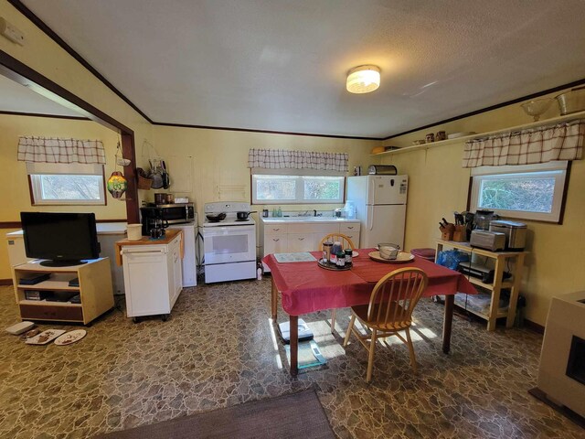 825 Sandy Valley Rd, Rogersville, TN 37857 - photo 28