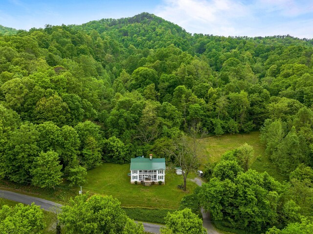 825 Sandy Valley Rd, Rogersville, TN 37857 - photo 10