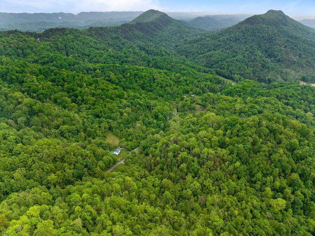825 Sandy Valley Rd, Rogersville, TN 37857 - photo 15