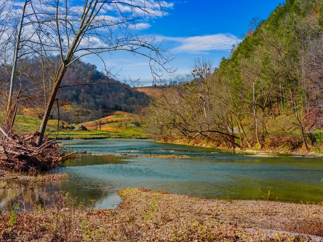 000 Horton Ford Rd, Eidson, TN 37731 - photo 18