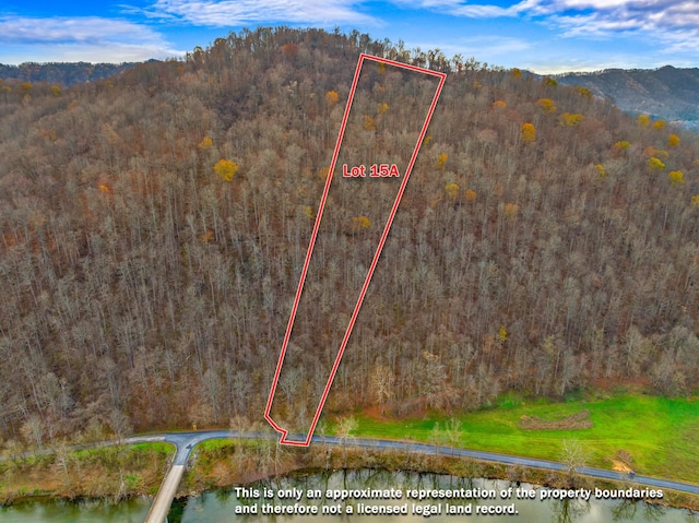 000 Horton Ford Rd, Eidson, TN 37731 - photo 26