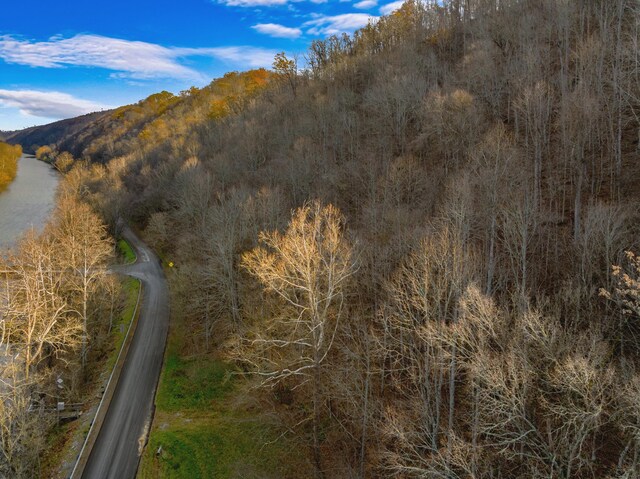 000 Horton Ford Rd, Eidson, TN 37731 - photo 6