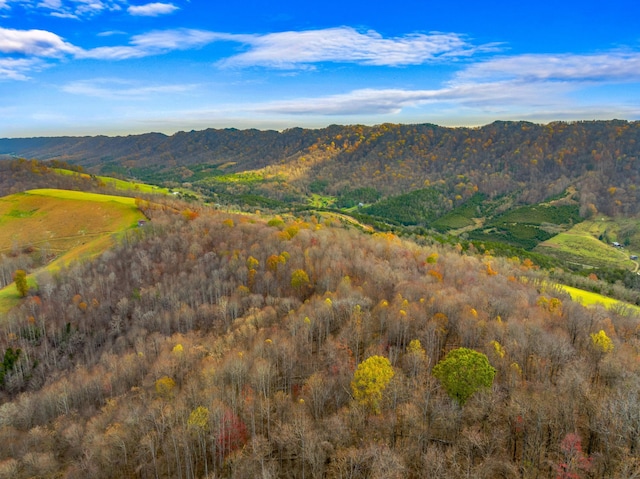 000 Horton Ford Rd, Eidson, TN 37731 - photo 23