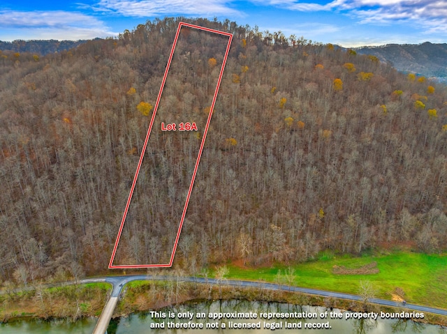 000 Horton Ford Rd, Eidson, TN 37731 - photo 27