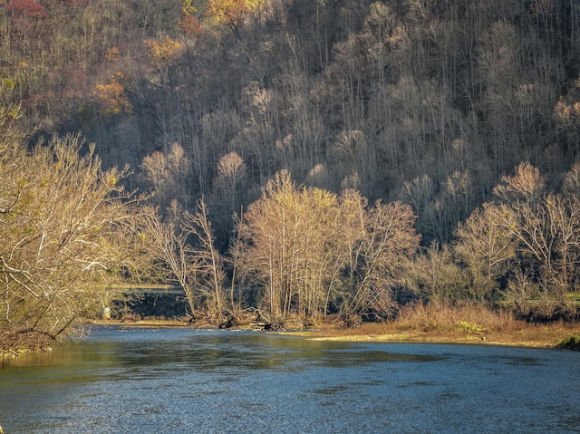 000 Horton Ford Rd, Eidson, TN 37731 - photo 28