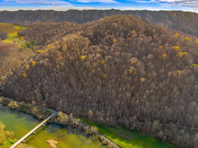 000 Horton Ford Rd, Eidson, TN 37731 - photo 9