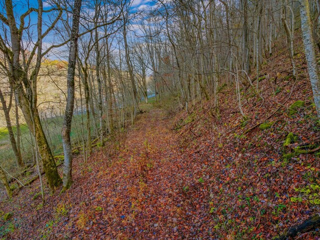 000 Horton Ford Rd, Eidson, TN 37731 - photo 14