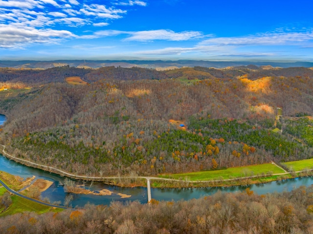 000 Horton Ford Rd, Eidson, TN 37731 - photo 12