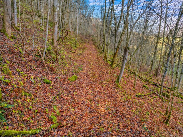 000 Horton Ford Rd, Eidson, TN 37731 - photo 17