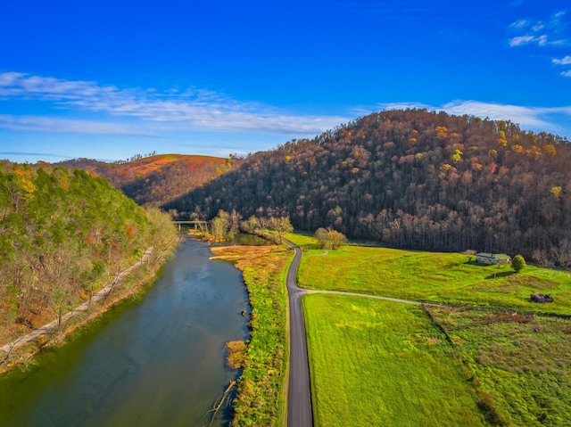 000 Horton Ford Rd, Eidson, TN 37731 - photo 13