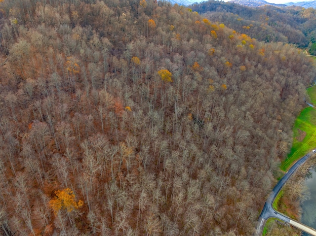 000 Horton Ford Rd, Eidson, TN 37731 - photo 10
