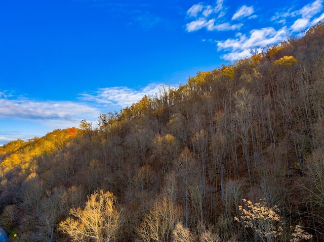 000 Horton Ford Rd, Eidson, TN 37731 - photo 19