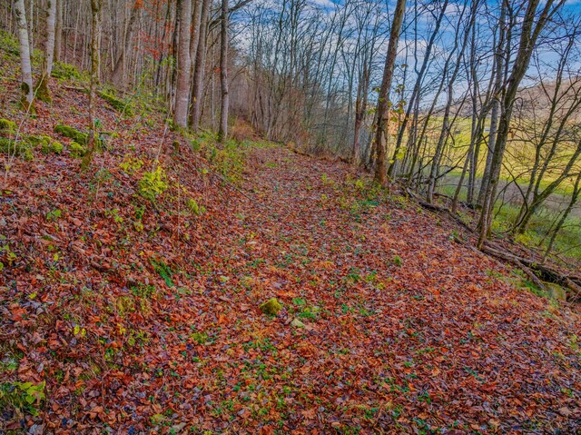 000 Horton Ford Rd, Eidson, TN 37731 - photo 16