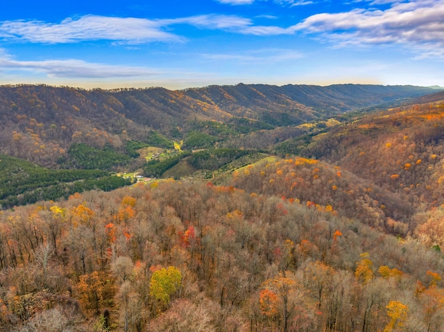 000 Horton Ford Rd, Eidson, TN 37731 - photo 22