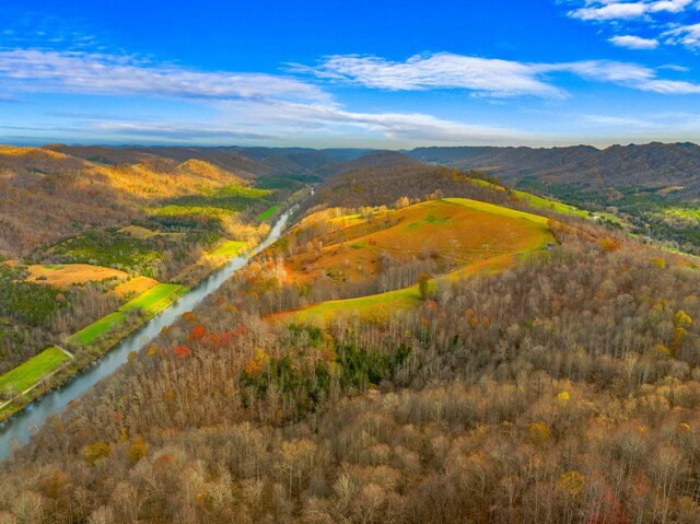000 Horton Ford Rd, Eidson, TN 37731 - photo 25