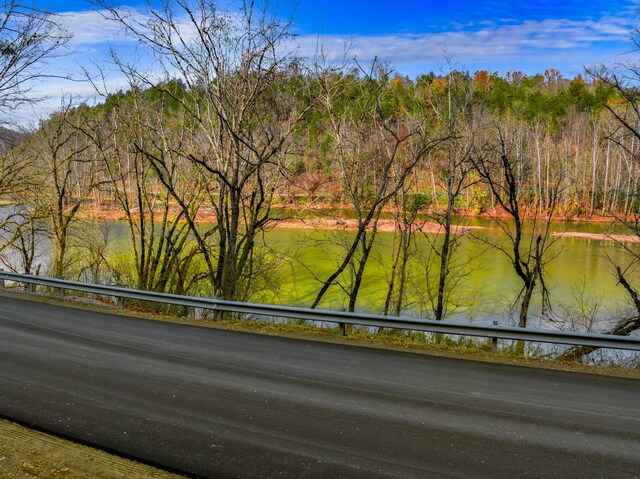 000 Horton Ford Rd, Eidson, TN 37731 - photo 4