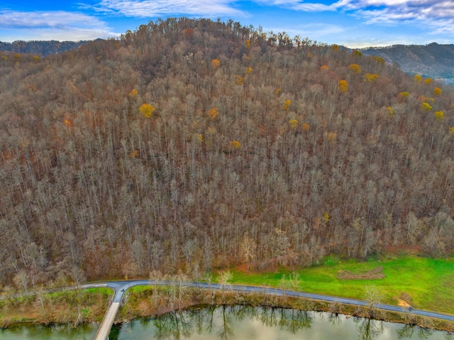 000 Horton Ford Rd, Eidson, TN 37731 - photo 8