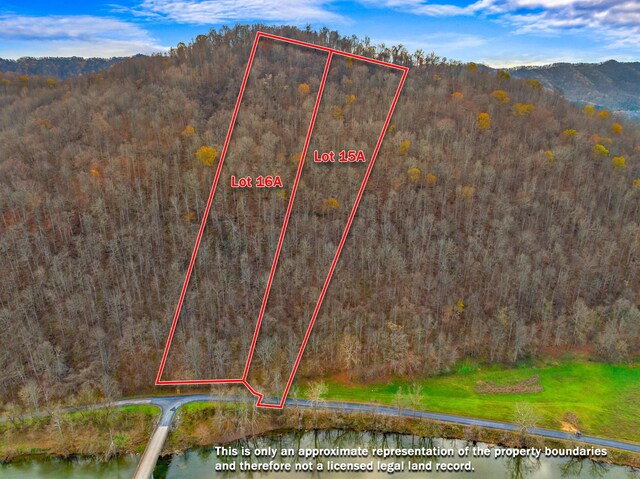 000 Horton Ford Rd, Eidson, TN 37731 - photo 7