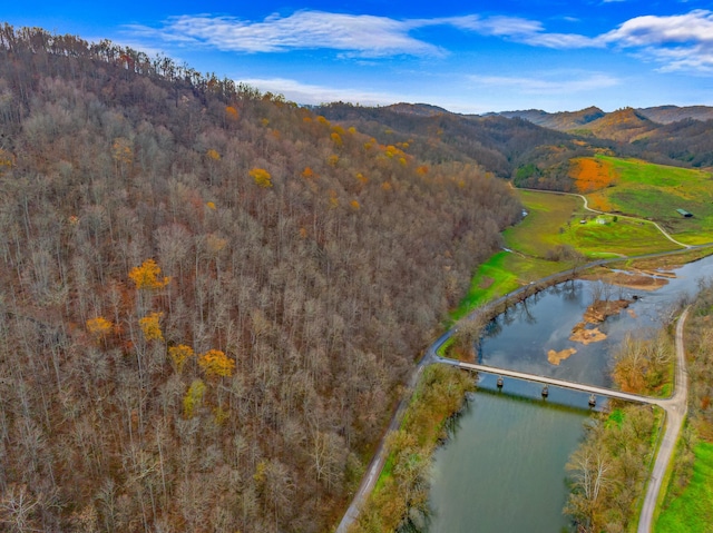 000 Horton Ford Rd, Eidson, TN 37731 - photo 11