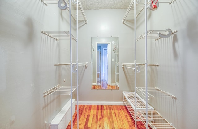 walk in closet featuring wood finished floors