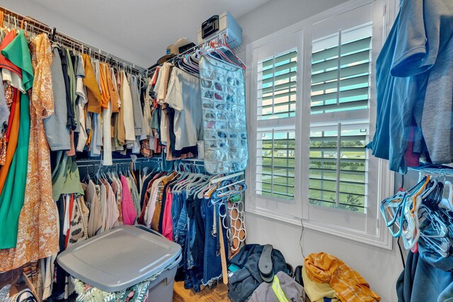 113 Cheshire Ct, Jefferson City, TN 37760 - view of walk in closet