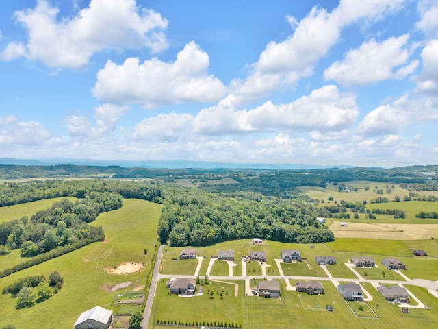 113 Cheshire Ct, Jefferson City, TN 37760 - drone / aerial view