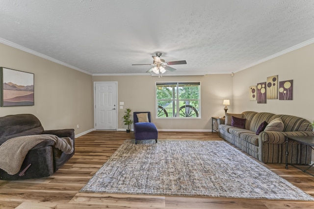 104-116 Circle Rd, Newport, TN 37821 - living room featuring wood finished floors, ceiling fan, a textured ceiling, and ornamental molding