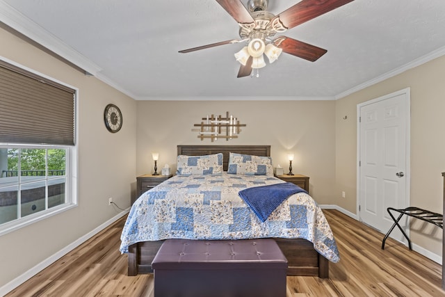 104-116 Circle Rd, Newport, TN 37821 - bedroom with light wood-style floors, ornamental molding, and a ceiling fan