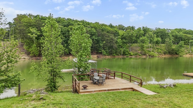 340 Back Nine Dr, Baneberry, TN 37890 - view of grassy yard with a water view and a dock