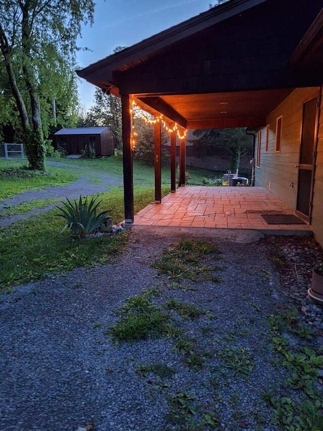 view of yard with a patio and a storage shed