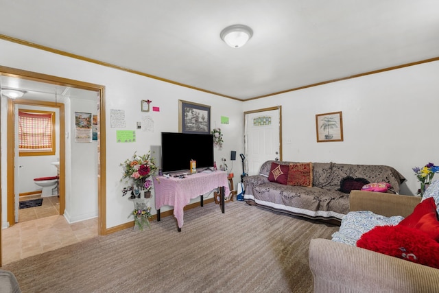 816 Choctaw St, Morristown, TN 37813 - living room with crown molding and baseboards